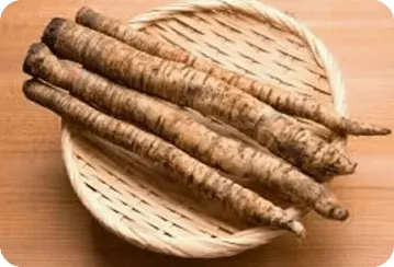 Burdock Root